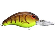 Brown Craw Chartreuse Belly