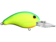 Chartreuse Green Back