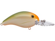 Parrot Orange