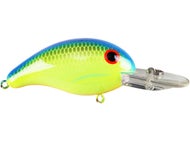 Chartreuse Blue Back