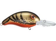 Brown Fall Craw