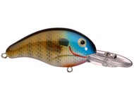 River Bream