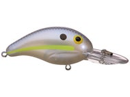 Chartreuse Shad