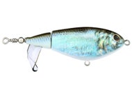 HD Blueback Herring