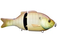 Shop All Clearance Swimbaits