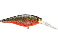 Red Tiger