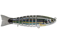 Biwaa S Trout 5.5 - Fish In Golfe