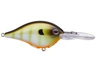 Berkley Dime 6 Crankbait &ndash; Esche Da Pesca 2 1/4&Prime; 1/2 Oz &ndash; Colori Assortiti &ndash; Made In USA