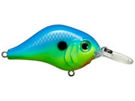 Blue Chartreuse