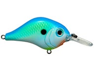 Citris Shad
