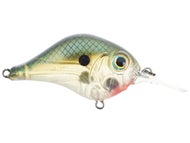 Green Gizzard Shad