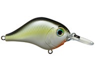 Louisiana Shad