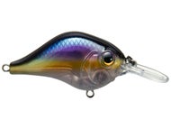 Threadfin Shad