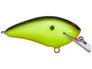 Chartreuse Black Back