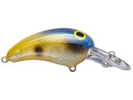 Norman Deep Tiny N Olive/Blue