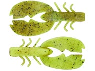Summer Craw