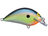 Blue Chartreuse Shad