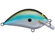 Blue Olive Shad