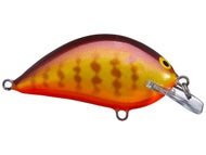 Purple Gill