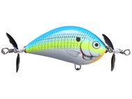 Citrus Shad