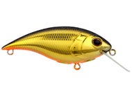Medium Diving Crankbaits (6-10')