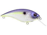 Medium Diving Crankbaits (6-10')