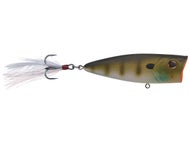 MF Bluegill