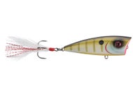 Bream