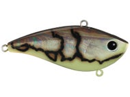 Graffiti Olive Craw