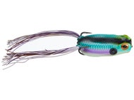 Aqua Frog