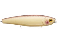 Bone