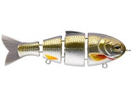 Golden Shiner