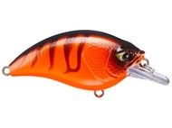 Medium Diving Crankbaits (6-10')