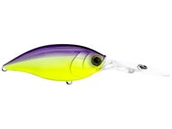 Purple Back Chartreuse 