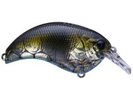 Olive Craw
