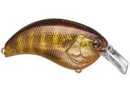 Pond Gill