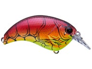 Red Craw Chart Belly