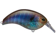 Leurre Deps Evoke 2.0 – Flottant – 66.5 Mm – 18g – Couleur 09 – Pour Truite – Neuf
