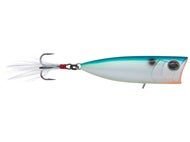 Citrus Shad