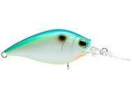 Citrus Shad
