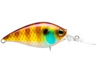 Natural Bluegill