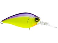 Purple Back Chartreuse 