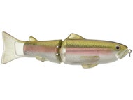 Japan Rainbow Trout