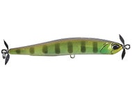 Chart Gill