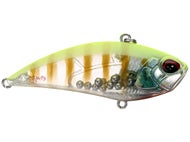 Funky Gill DM