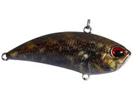 Goby ND