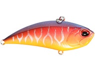 Red Tiger