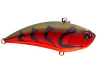 Swamp Craw