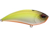 Tennessee Shad