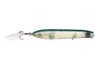Blue Back Herring